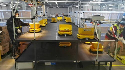 備戰618 機器人先上陣，鏢普、小黃人、RaaS技術助力高效柔性自動化分揀